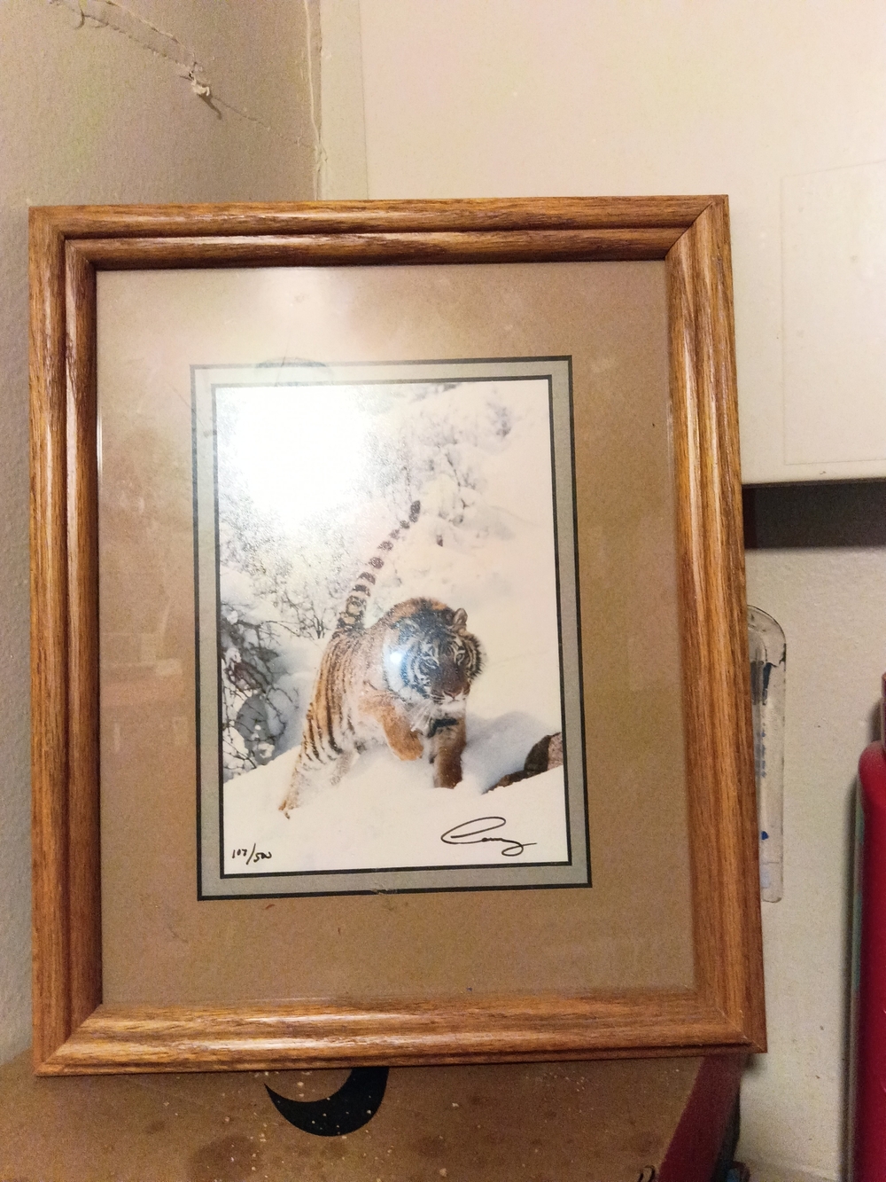 Brown Wood-Framed Tiger Print - Wildlife Wall Art